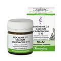 BIOCHEMIE 22 Calcium carbonicum D 12 Tabletten