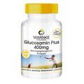 GLUCOSAMIN PLUS 400 mg Kapseln