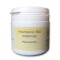 ARTEMISININ 500 Artemisia annua Pflanzenextr.Kaps.